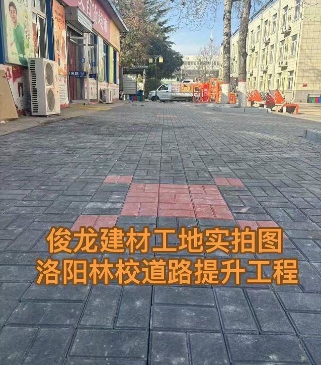 洛陽林校道路提升工程
