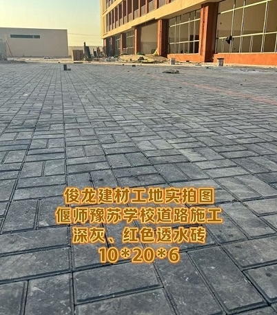偃師豫蘇學(xué)校道路施工 深灰、紅色透水磚 10*20*6
