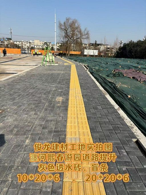 瀍河熙春游園道路提升 （灰色透水磚、盲條）